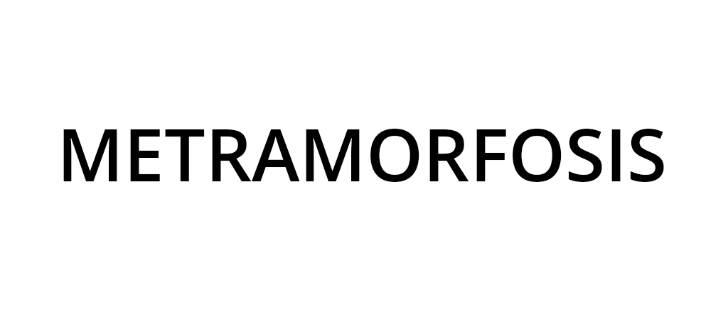 Metramorfosis Metramorfosis