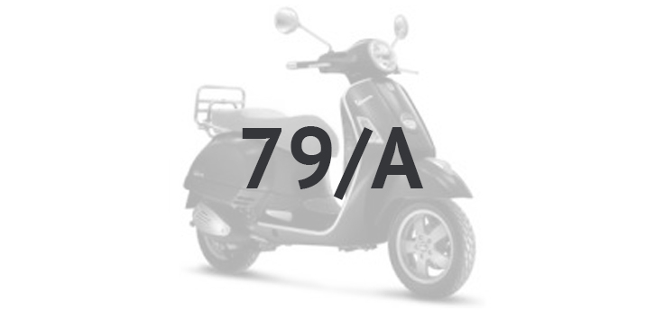 Vespa GTS 250 ie 2005-2009 (avec ABS) grafietnoir 79/A