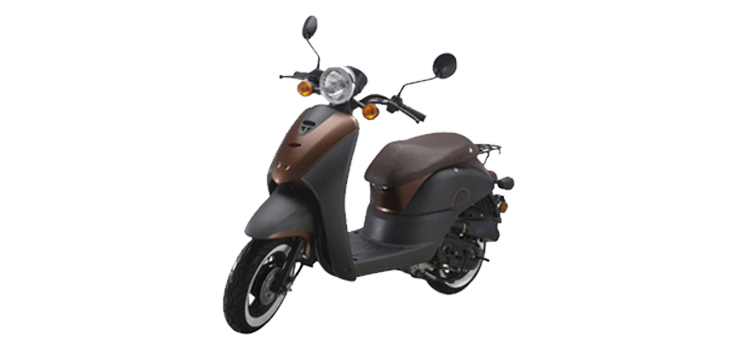 Benzhou YY50QT-36 (10 pouces)