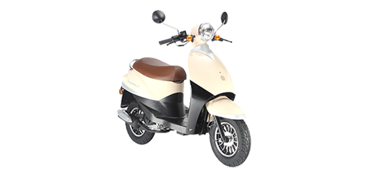 Benzhou YY50QT-41 (10 pouces)