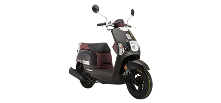 Benzhou YY50QT-8A (10 pouces)