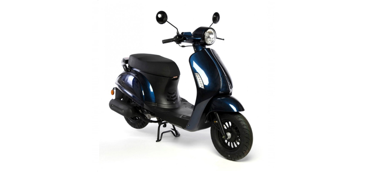 Pièces détachées Rover Riva II bleu foncé