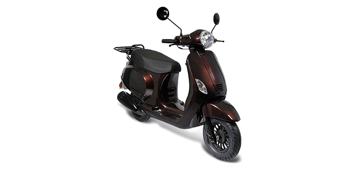 Pièces détachées Edwards Maple V50-2 brun