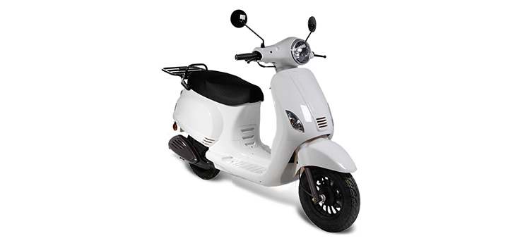 Pièces détachées Edwards Maple V50-2 blanc