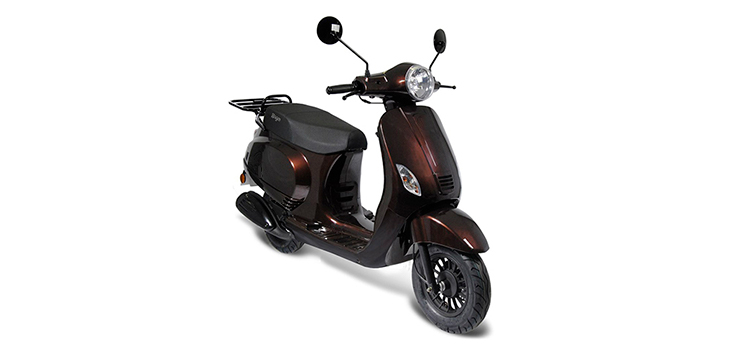 Pièces détachées GTS Toscana Euro2 brun