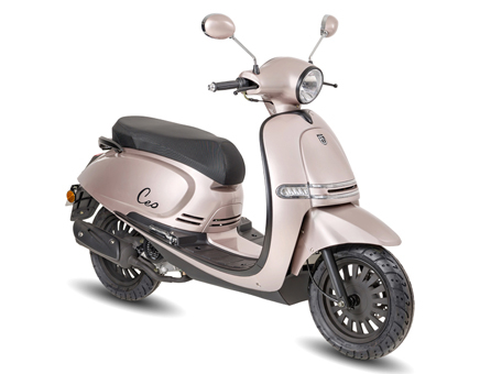 Pièces détachées BTC Ceo New champagne