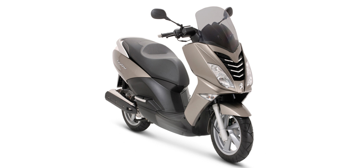 Pièces détachées Peugeot Citystar 50 lichen gris