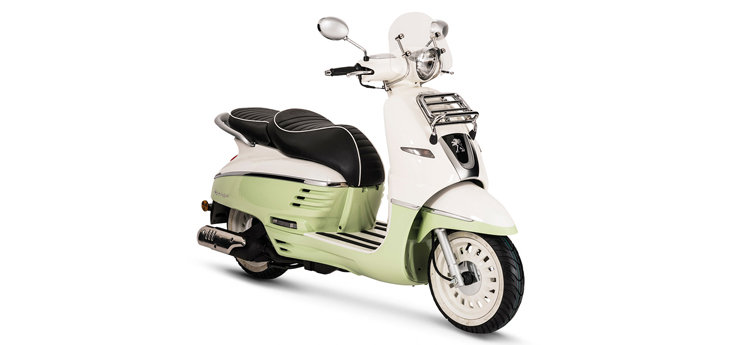 Pièces détachées Peugeot Django Evasion Pistachio