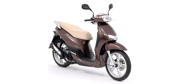 Pièces détachées Peugeot Tweet old brun