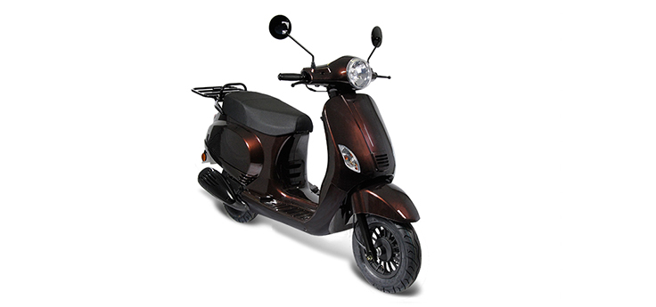 Pièces détachées Rover GT Euro2 brun