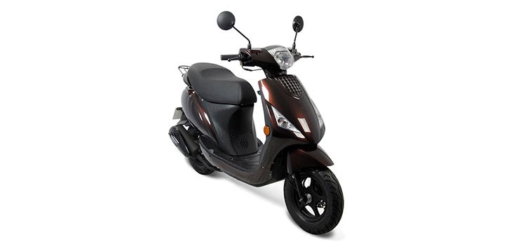 Pièces détachées IVA YGO brun