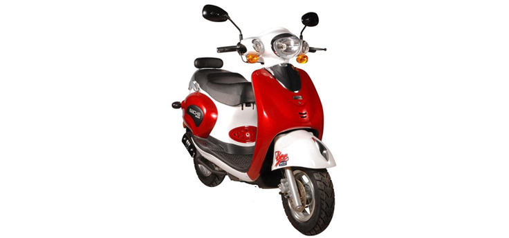 Sachs Bee (10 pouces)