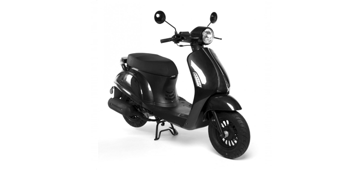 Pièces détachées AGM Swan noir