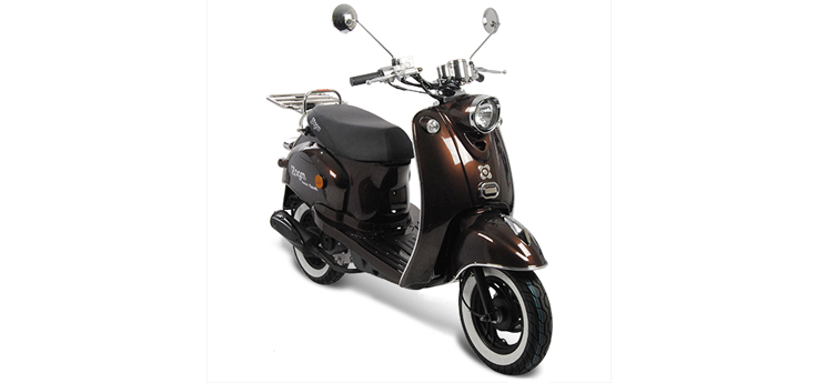 Pièces détachées AGM New Flash brun