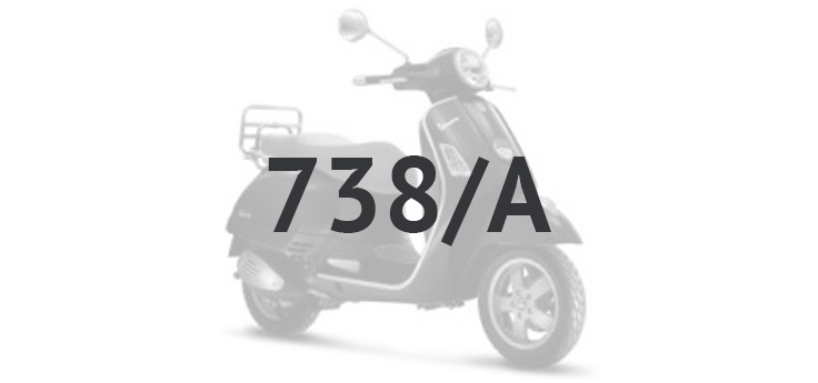 Vespa GTS 250 ie 2005-2009 (avec ABS) gris excalibur 738/A