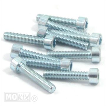 BOULONS ALLEN M6x 35mm ELVEDEZ 10 pièces