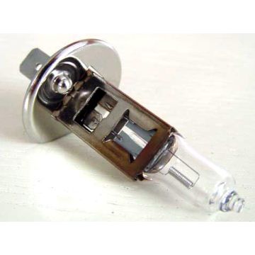 Ampoule P14.5s H1 12V 55W-121948