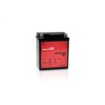 Batterie MTX7L-BS SLA gel Malossi 4418919