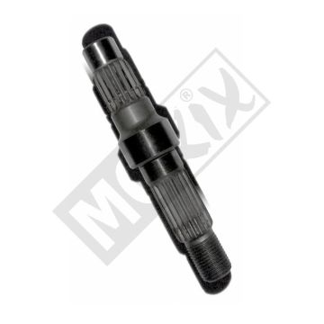 SORTANTE ASH KY POULICHE ORG