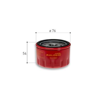 Filtre à huile Malossi Red Chilli- BMW C Sport/C GT/CX 400-650/Kymco AK 550 317897