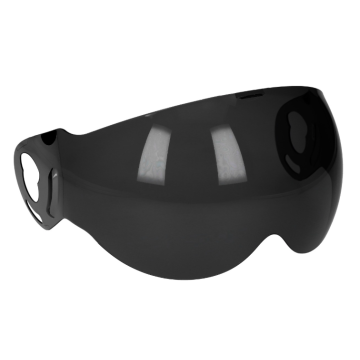 Visière de toit Boxxer/Roadster dark smoke