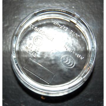 Cabochon de clignotant Kymco Agility gauche/droit avant/arrière