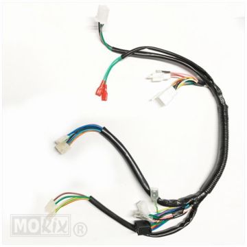 Faisceau de câblage original DJJD Cashmere 50 EFI euro 4