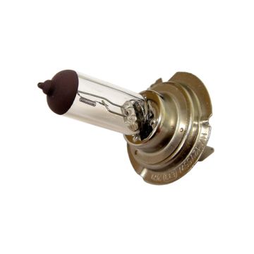 Ampoule PX26d H7 12 V 55 W-40181