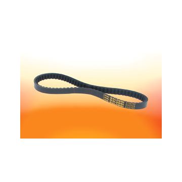 Courroie Malossi X Kevlar Overrange (782x18mm)Carter long Minarelli 50 SR/Amico/Area/Gulliver/Rally/Scarabeo/491/Ark/Dragster/F12-15/Booster/Flipper/Mach/Nitro/Ovetto/Stunt/Aerox/ BWS/Jog/Slider/Spy/Neos 6115822