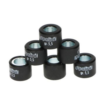 Jeu de rouleaux de variateur 16x13 Polini