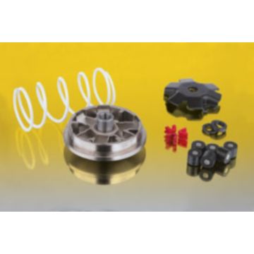 Kit variateur Malossi Multivar 2000 Peugeot 50 2 temps lc/ac vertical Speedfight 1-2-3/Xfight/MetalX/TKR/Trekker/Vivacity/Buxy/Elyseo/Elystar/Speedake/Squab/Jet force/Ludix/Zenith 518752