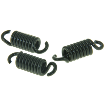 Ressorts embrayage 3 pièces Malossi Delta-Piaggio 125-180 cc 2 temps - Runner FX/FXR 125-180/Dragster 125-180/SKR125/SKR150/Typhoon125/Skipper 125-150/Hexagon LX/LXT 125-180 2912049