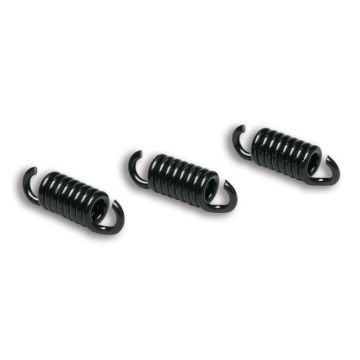 Ressorts embrayage 3 pièces Malossi Delta-Piaggio 125-180 cc 2 temps - Runner FX/FXR 125-180/Dragster 125-180/SKR125/SKR150/Typhoon125/Skipper 125-150/Hexagon LX/LXT 125-180 2912049