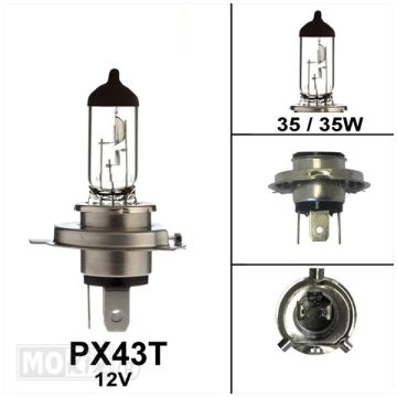 Ampoule 12V PX43T 35/35W HS1 homologuée CE Bollard