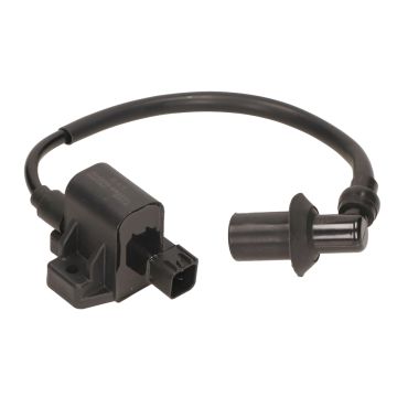 Bobine d'allumage/CDI DJJD Cashmere 45km/h E5