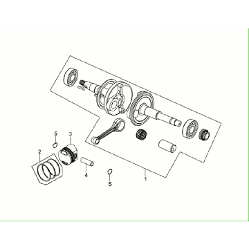 Vilebrequin Sym Fiddle All Euro 5