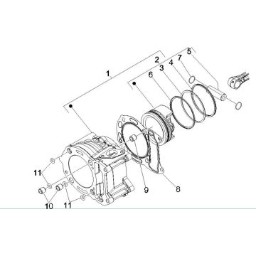 Groupe cylindre-piston-piston Vespa GTV 250 4T 4V IE