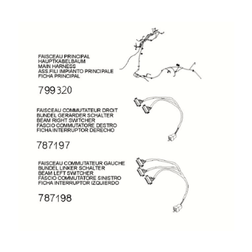 Harnais - connecteur Peugeot Django 125 EFI E5 2021-2022