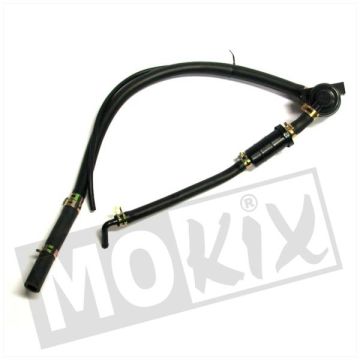 COMME KIT CHI AVEC DE LA NOURRITURE