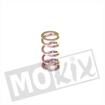 TROTTINETTE DELLORTO AU RALENTI