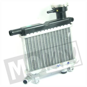 RADIATEUR Yamaha