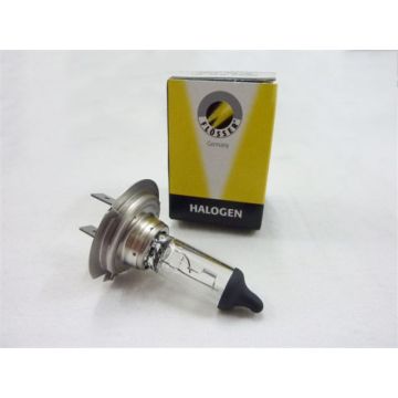 Ampoule PX26d H7 12 V 55 W-16H1255