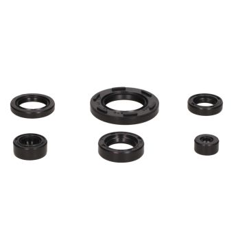 Kit de joints Suzuki TSX DMP