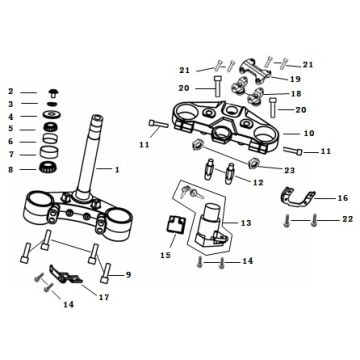 Pièce de couronne AGM Strada