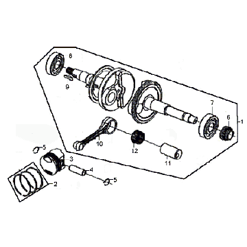 Villebrequin Sym Fiddle II (BK-7c) étoile grise