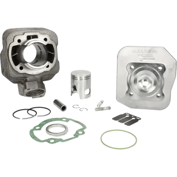 Cylindre avec culasse Malossi 50 Sport- Peugeot AC vertical - Buxy/Elyseo/Elystar/Looxor/Speedake/Speedfight 1-2/Squab/TKR/SC/Vivacity/Trekker/Zenith/SV