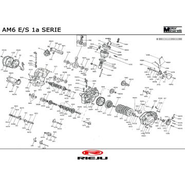 Motor Rieju Rs1 jaune-gris 2001 2 temps