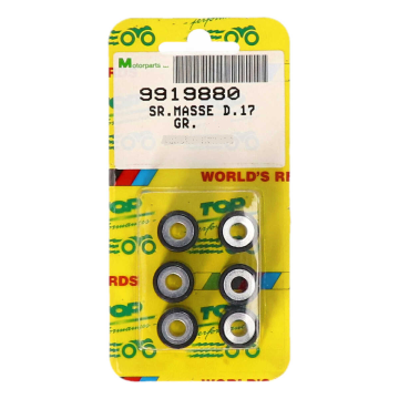 Jeu de rouleaux de variateur 19X15.5 Top performances