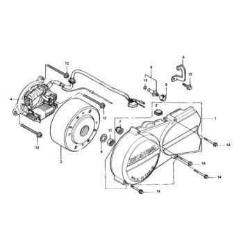 Ontsteking - Stator - Vliegwiel Honda MTX-SH