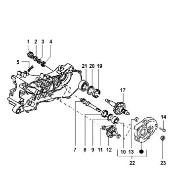 Transmission Piaggio Typhoon 98-2005 2 temps
